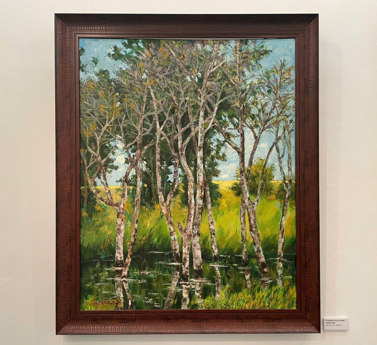 "Khoảnh trời riêng" - Cuộc đối thoại giữa họa sĩ Tuấn Dũng và thiên nhiên