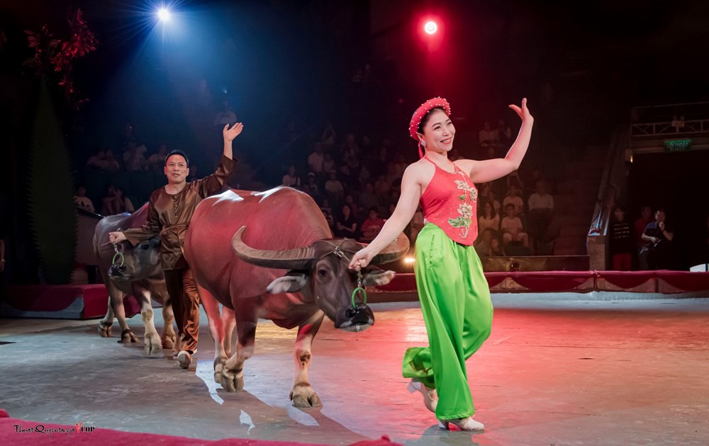 Liên đoàn Xiếc Việt Nam sẽ biểu diễn vở xiếc “Cậu bé trở về từ rừng xanh”, nhằm gây quỹ ủng hộ đồng bào vùng lũ. Ảnh: LĐ Xiếc Việt Nam