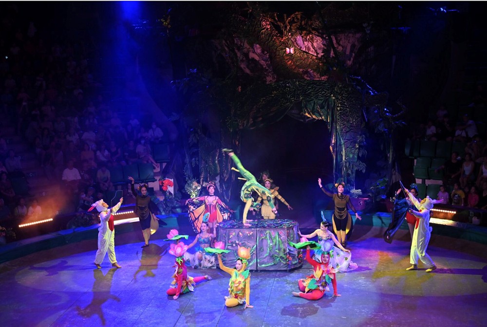 Liên đoàn Xiếc Việt Nam chung tay ủng hộ đồng bào vùng lũ lụt