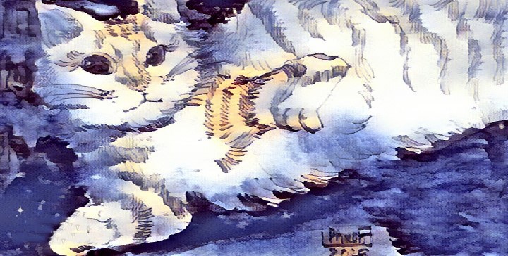 Mở một cái cửa sổ. Truyện ngắn của Nguyễn Thị Như Hiền