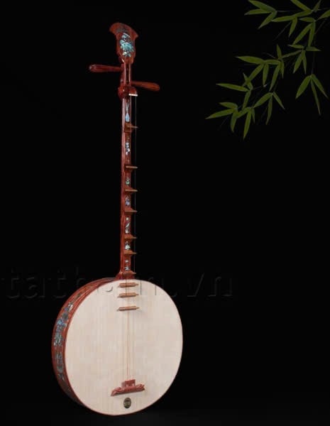 Đàn kìm phương Nam giữa lòng phố Bắc