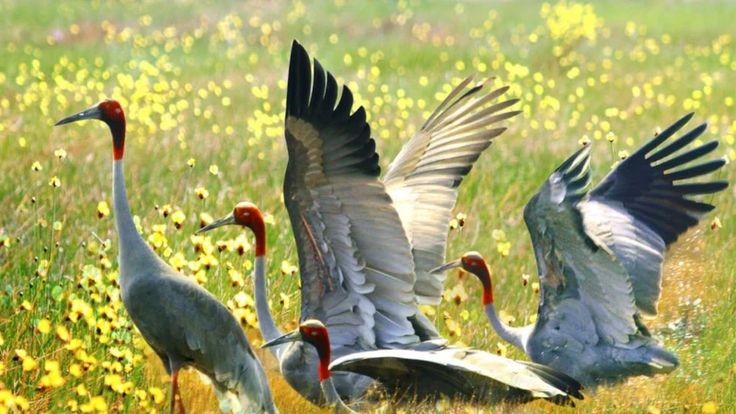 Bay cao thì mặc. Truyện ngắn của Nguyễn Trí