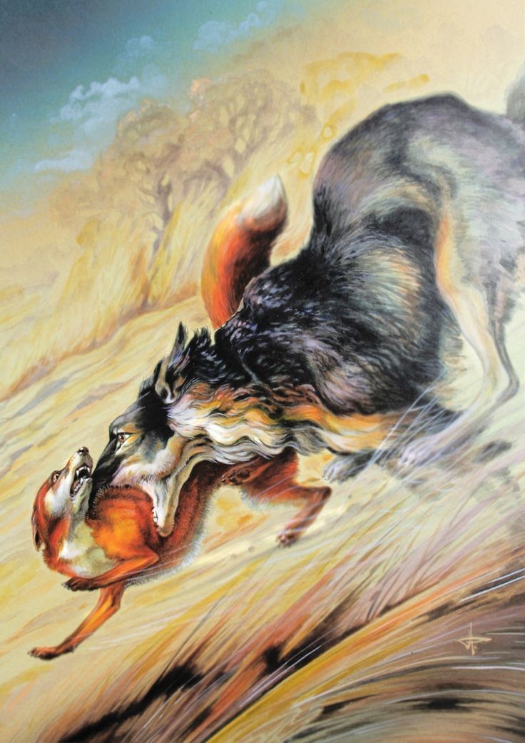 Thổn thức gió cao nguyên. Truyện ngắn của Lại Văn Long