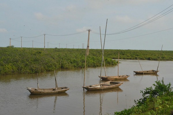 tinh ban giua vem va vop o cua song