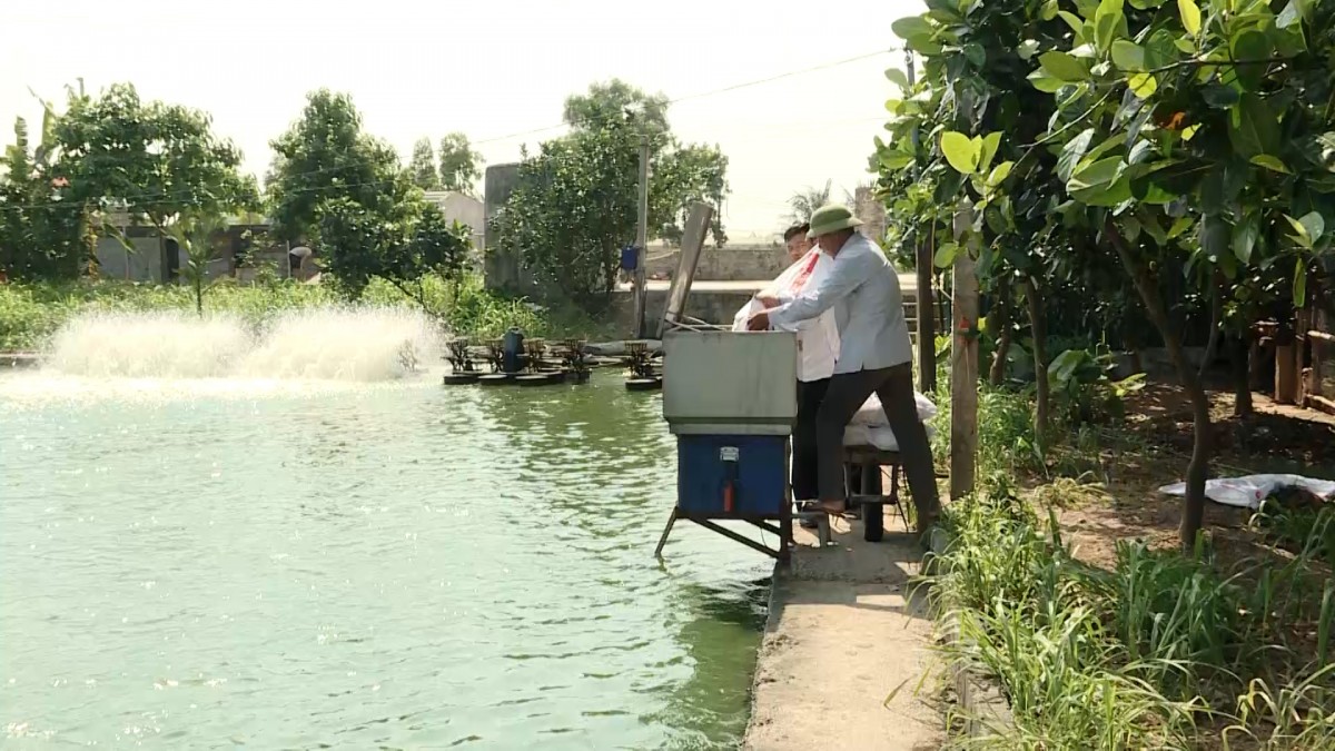 Kinh tế số – Làn gió mới trên đồng ruộng Ninh Bình