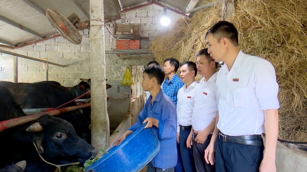 Kinh tế số – Làn gió mới trên đồng ruộng Ninh Bình