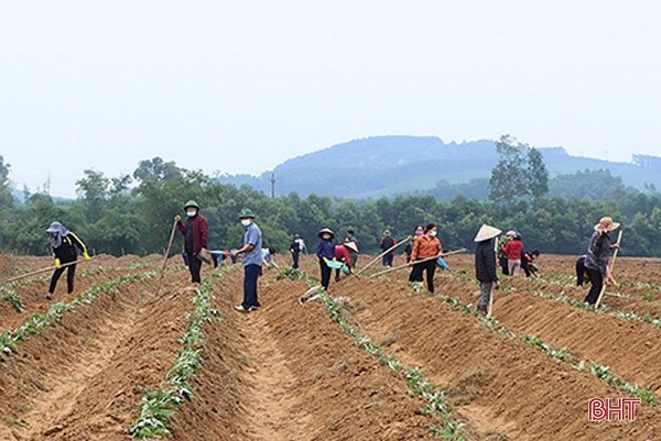 nang xien khoai but ky cua tran hau thinh