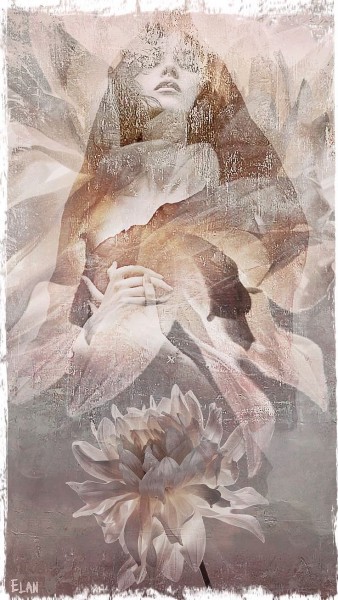 kiep hoa truyen ngan cua vu minh nguyet