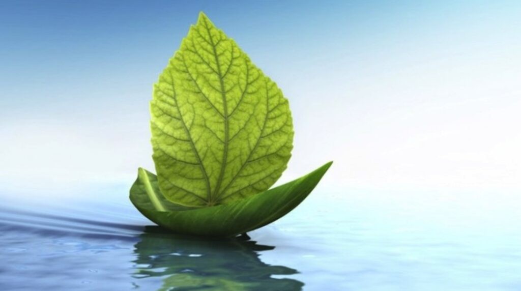 Thuyền lá. Truyện ngắn của Sương Nguyệt Minh