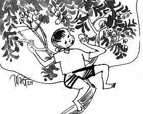 khat vong tu mot nhanh cay tan van cua pham phuong lien