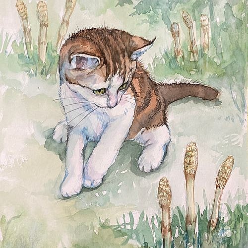 con meo cua foujita truyen ngan cua nguyen quang sang