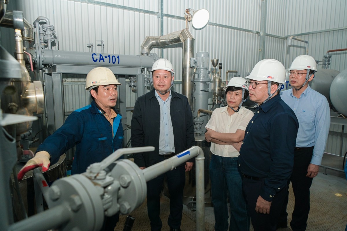 BSR đẩy nhanh tiến độ nghiên cứu nhiên liệu dầu diesel sinh học