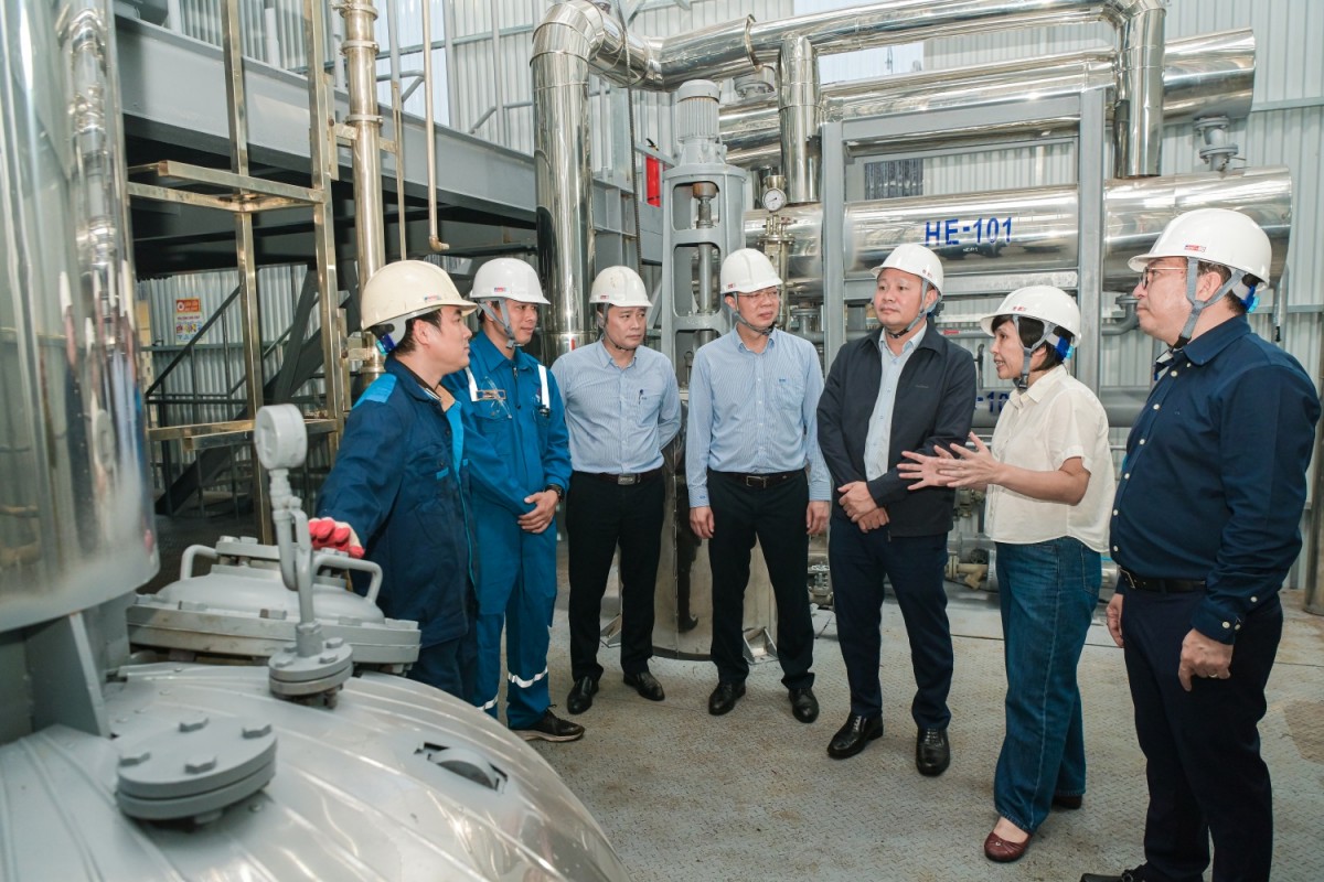 BSR đẩy nhanh tiến độ nghiên cứu nhiên liệu dầu diesel sinh học