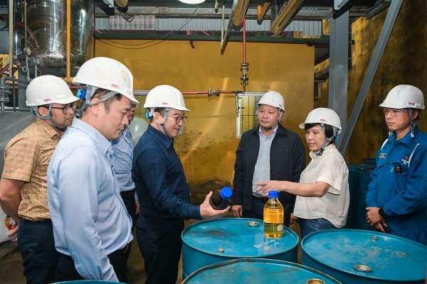 bsr day nhanh tien do nghien cuu nhien lieu dau diesel sinh hoc