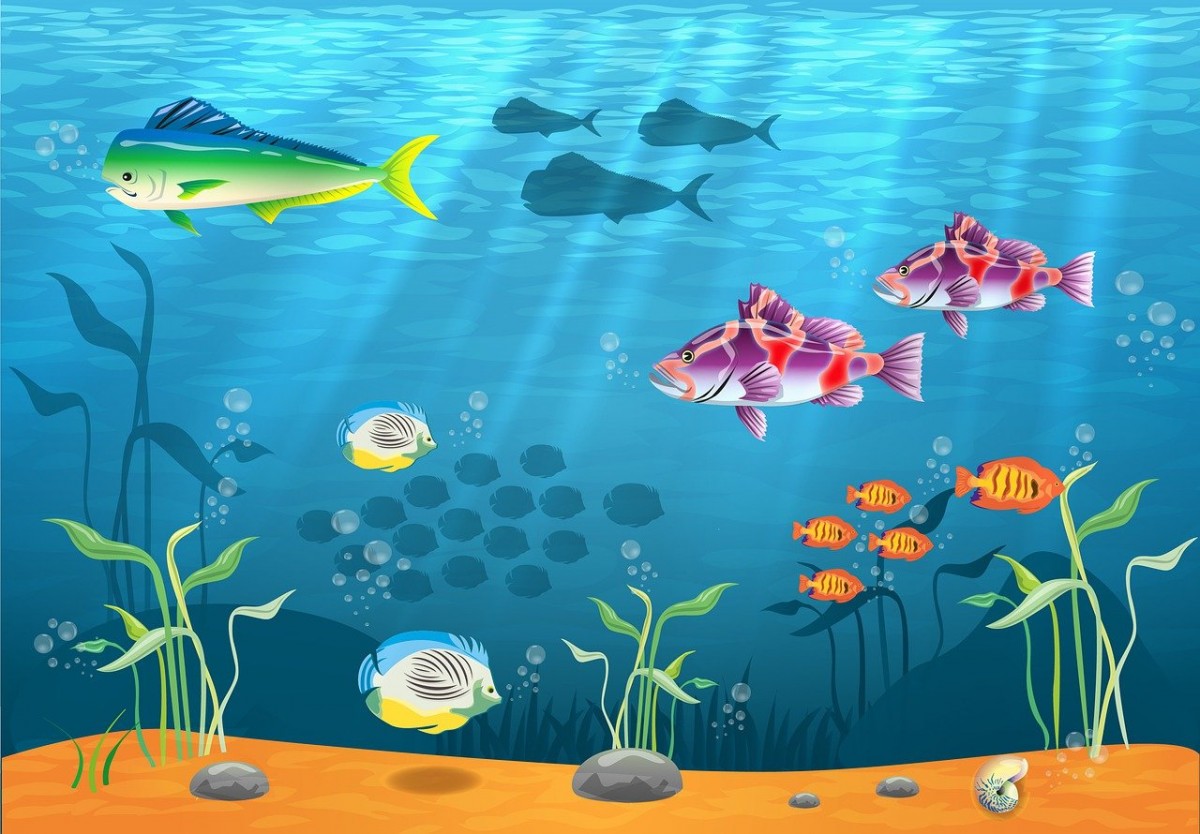 Tiệm spa của biển