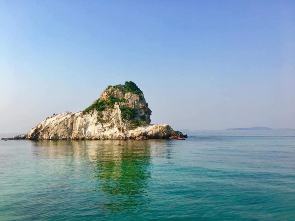 Sư tử không diễn trò