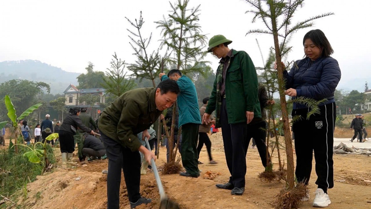 Lan tỏa màu xanh trong Ngày Cây xanh Việt Nam