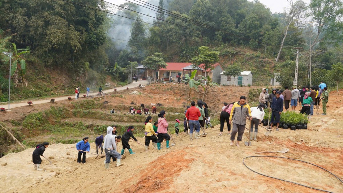 Lan tỏa màu xanh trong Ngày Cây xanh Việt Nam