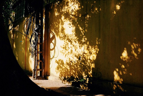 duoi theo bong nang truyen ngan cua lu thi mai