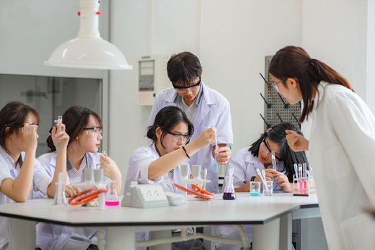 Bộ GD&ĐT: 5 tiêu chí xác định đối tượng sắp xếp các sơ sở giáo dục Đại học