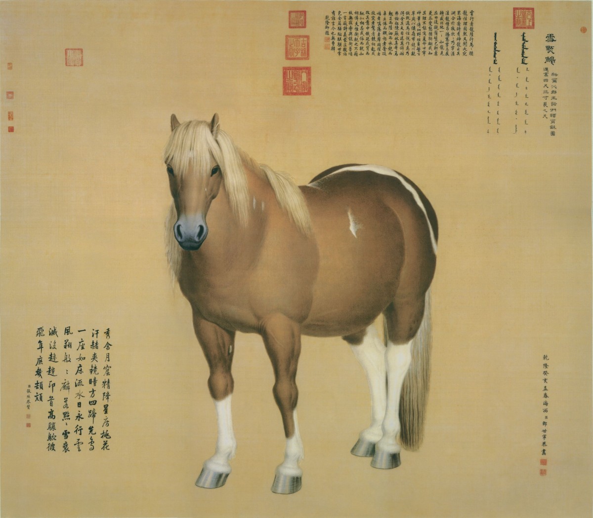 Nhân năm Ngọ, chiêm ngưỡng những bức tranh về ngựa của họa sĩ Giuseppe Castiglione