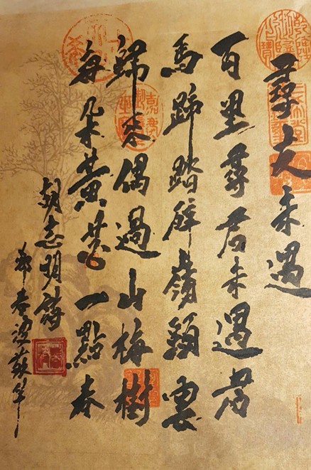 Vó ngựa trong thơ Người