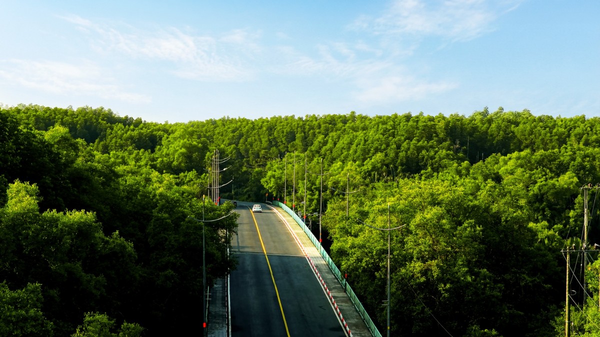 Giải chạy 5.000 runner tại Cần Giờ tiếp thêm sức hút cho biểu tượng du lịch mới của TP.HCM