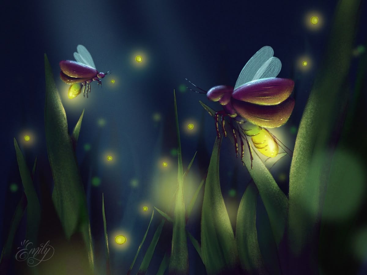 Đom đóm và hoa gạo. Tản văn của Đức Dũng