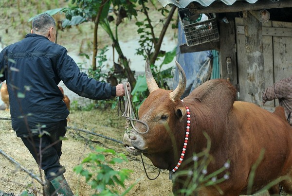 choi bo tren dinh mo chi but ky cua khai van