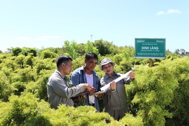 Traphaco: Từ nền tảng dược liệu xanh đến tham vọng dẫn dắt mảng tân dược