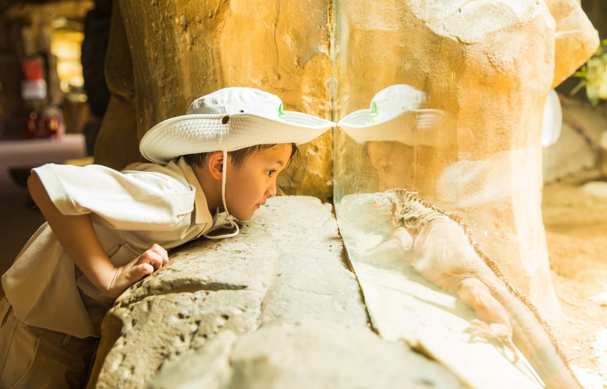 Vinwonders phối hợp cùng Quỹ Khuyến Học mang mùa hè ý nghĩa đến thiếu nhi khắp cả nước