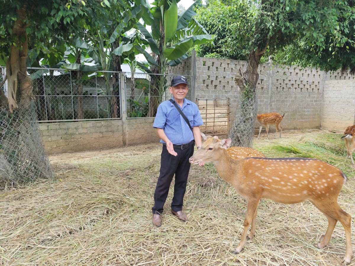 Về thủ phủ hươu sao Hà Tĩnh. Bút ký của Ngô Đức Hành
