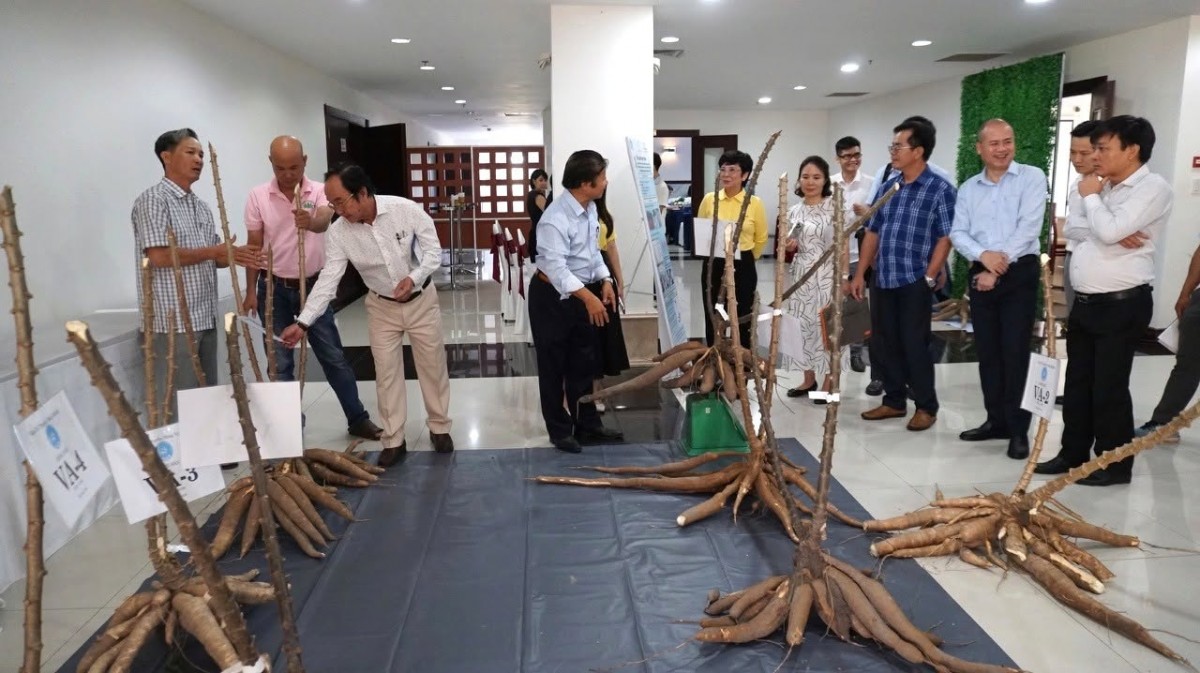 VinFuture và hành trình kết nối trí tuệ toàn cầu với những bài toán phát triển của Việt Nam