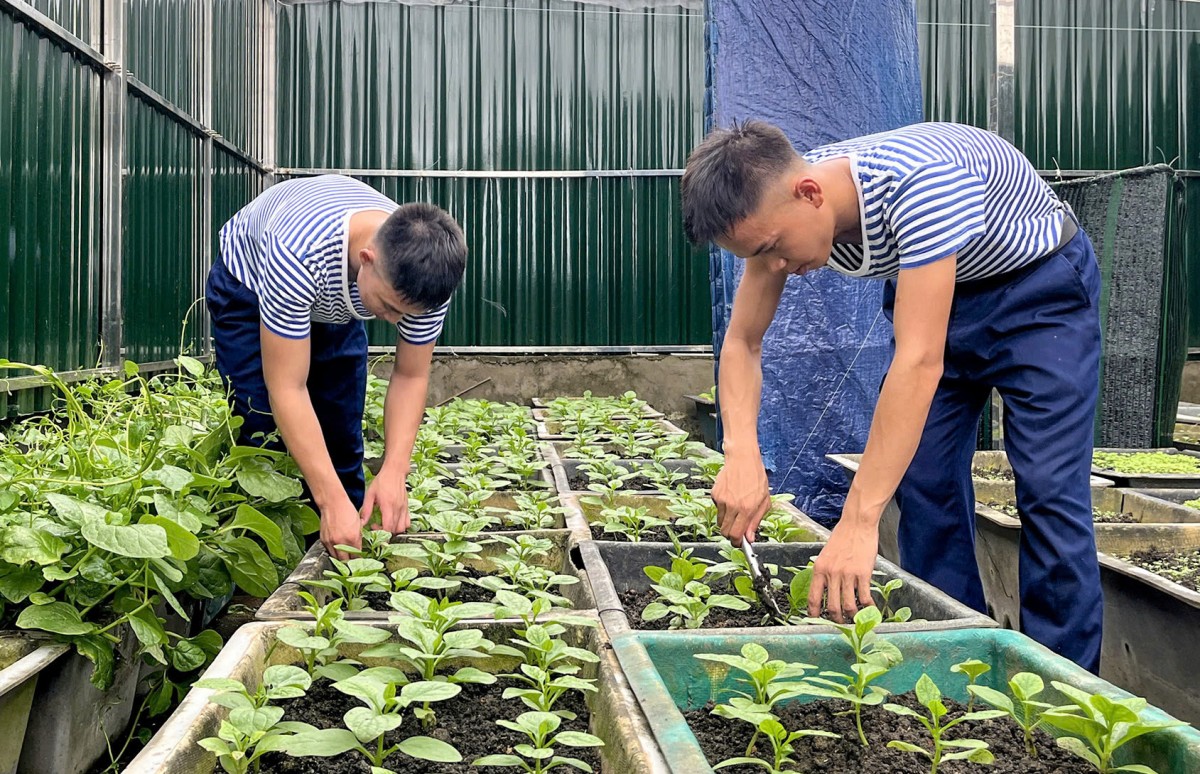 Màu xanh ở Trường Sa