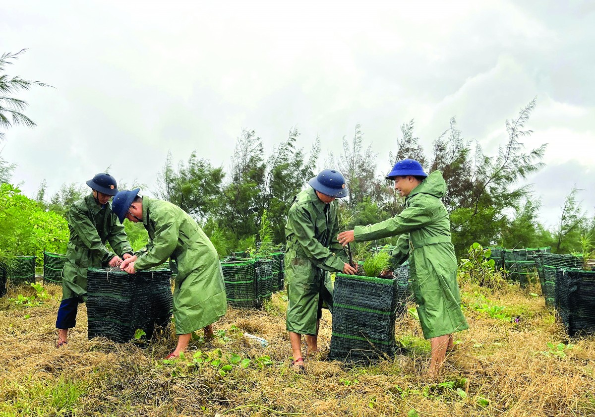 Màu xanh ở Trường Sa. Bút ký của Nông Quang Khiêm