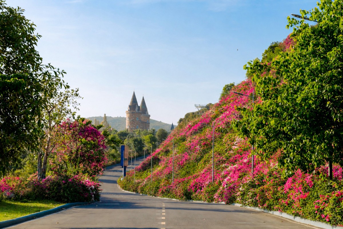 Hòn Tre: Từ một hòn đảo hoang sơ giữa vịnh Nha Trang đến “đảo diệu kỳ” của hàng triệu du khách
