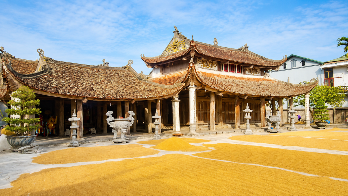 Theo những nếp nghề trên đất Ninh Bình