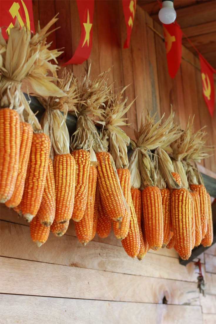 Bao giờ mỏi gối chồn chân thì về. Tùy bút của Khải Vân
