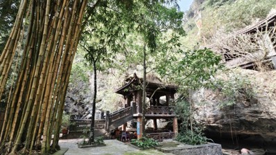 Nghị quyết 26-NQ/TW: Động lực phát triển du lịch Ninh Bình trở thành ngành kinh tế mũi nhọn trong kỷ nguyên mới