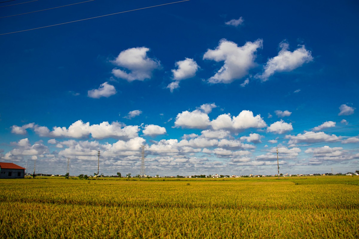 Ninh Bình – từ núi xuống biển