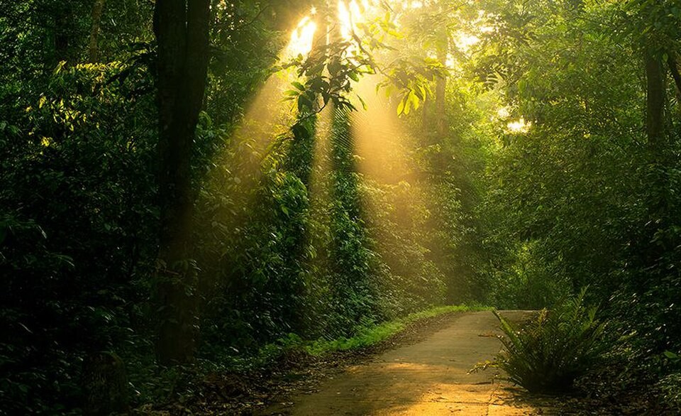 Ninh Bình – từ núi xuống biển