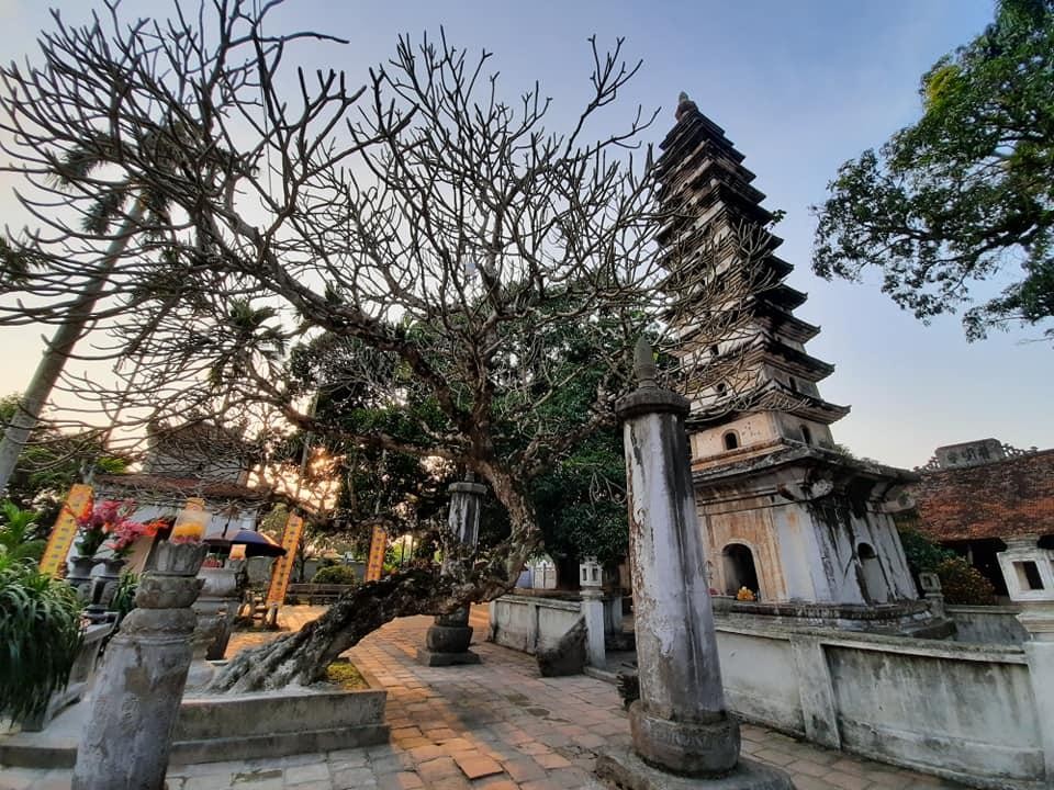 Theo dấu nhà Trần trên đất Ninh Bình