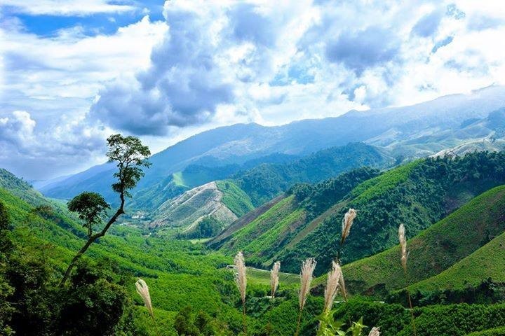 Nơi mây núi còn xanh. Bút ký của Nhụy Nguyên