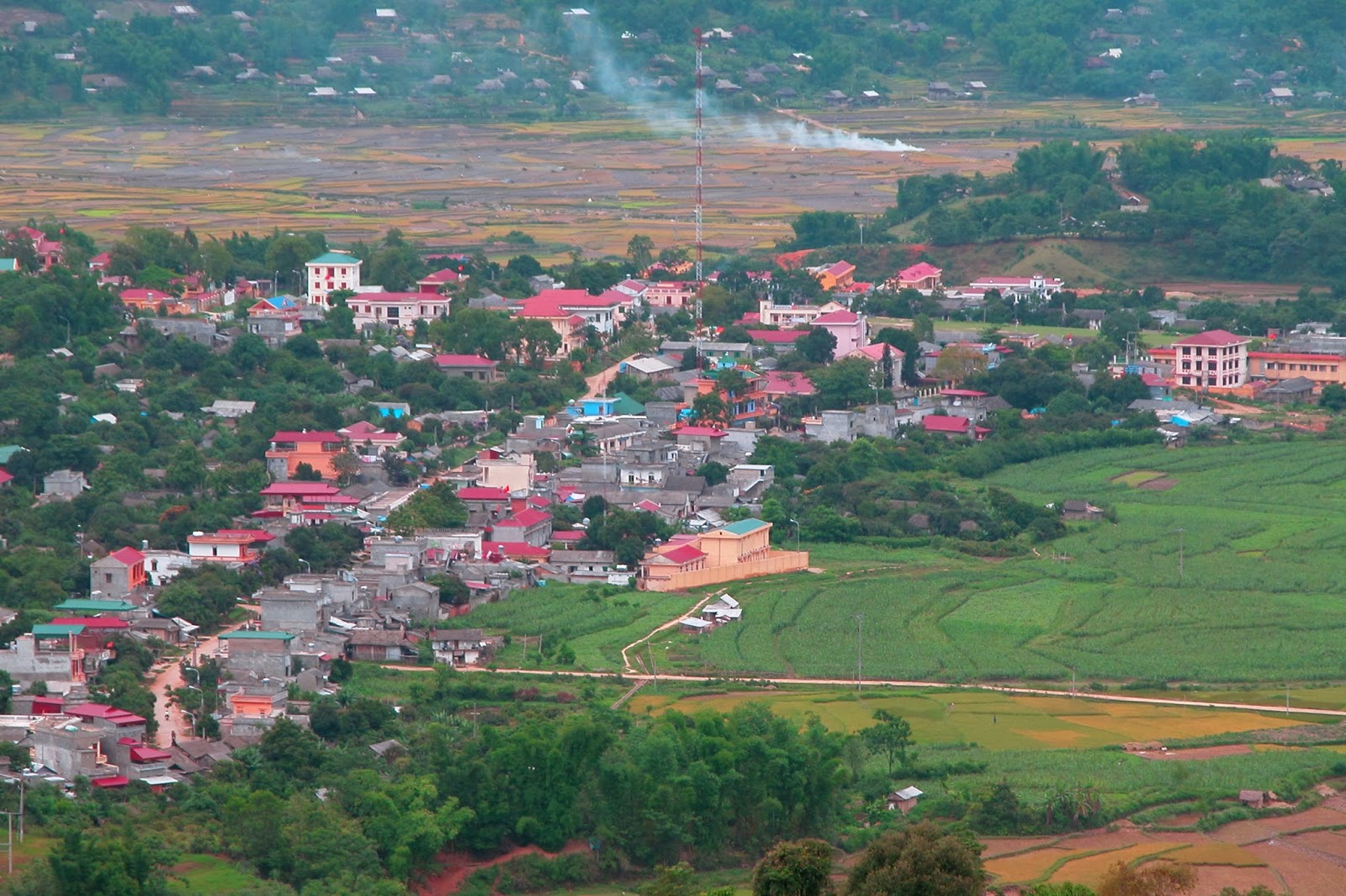 Hoa xương rồng trên cao nguyên Sín Chải