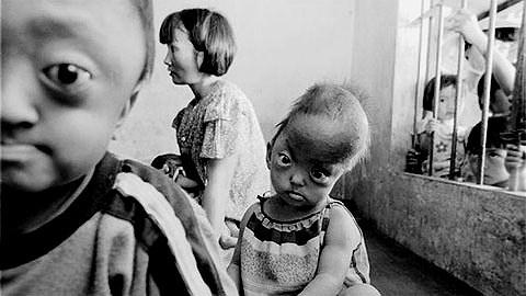 Những phận người da cam