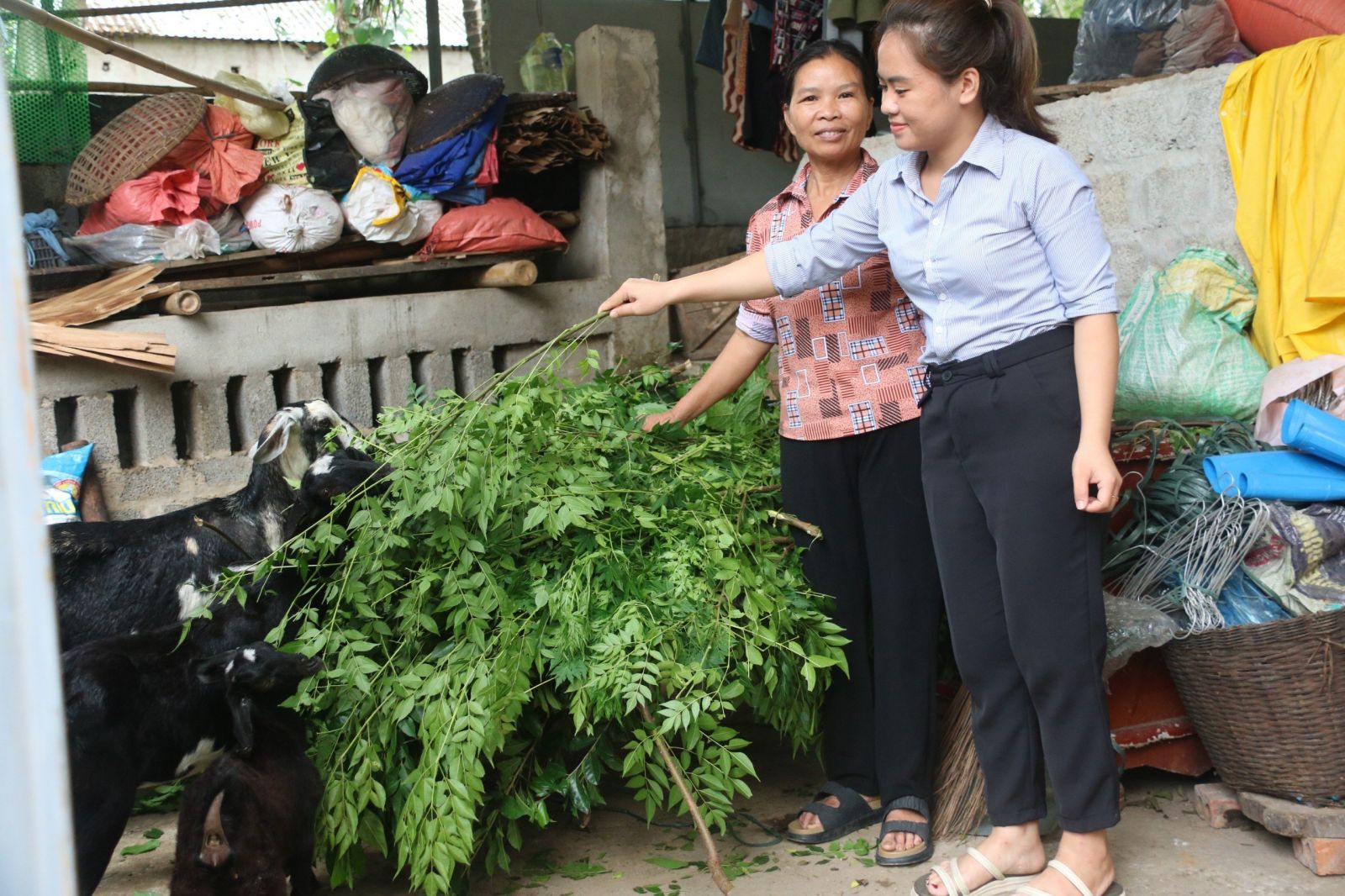 Nghe Tài chính vi mô kể chuyện khách hàng